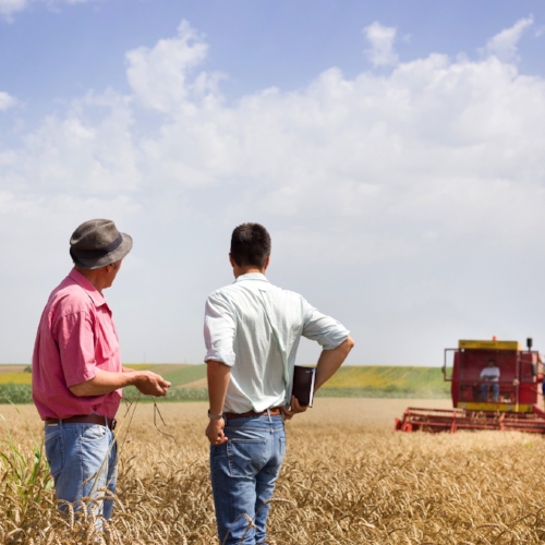 Copy of Peasant farmer and business man talking on wheat field during wheat harvest on American farm