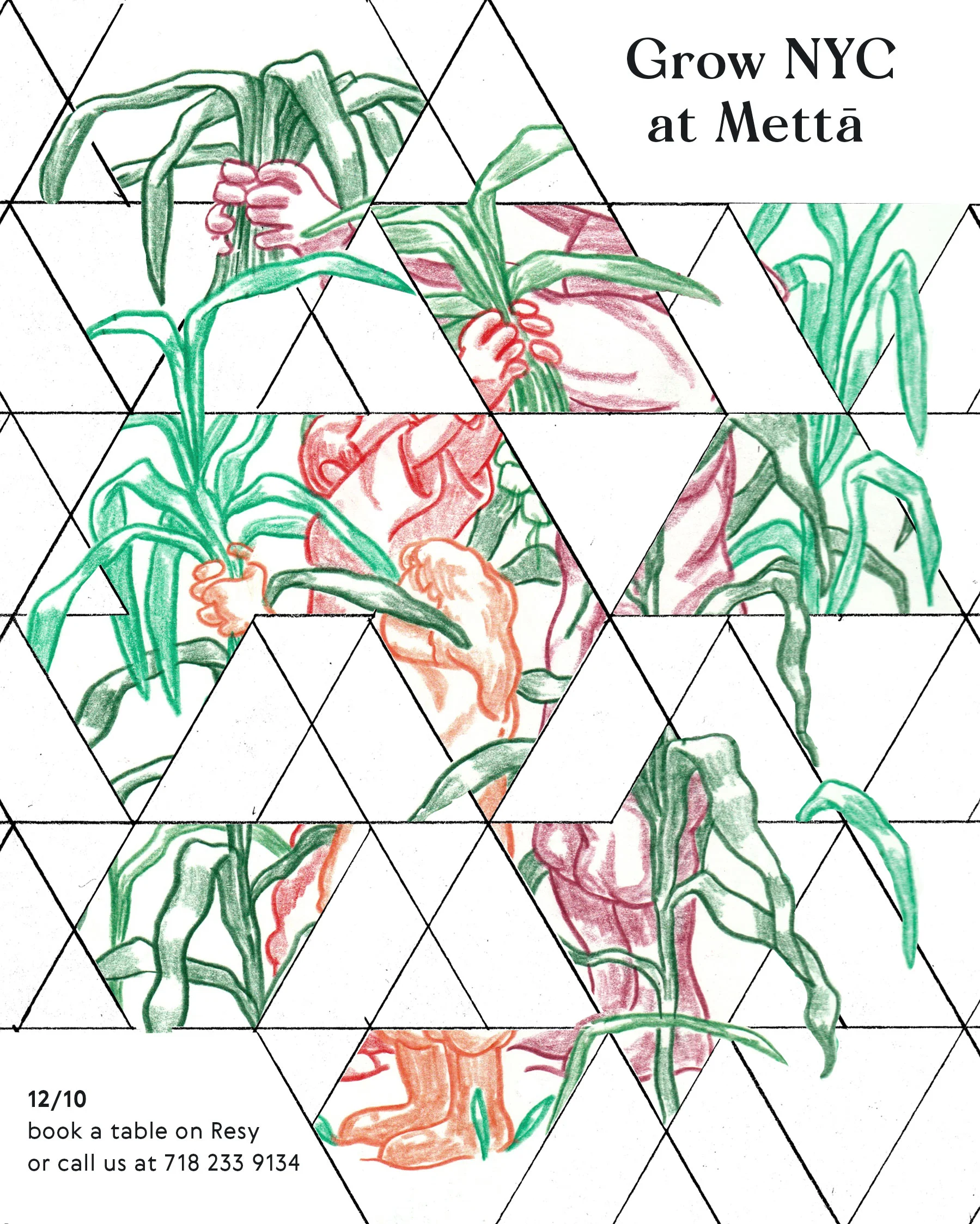 metta_grownyc_pattern_flyer2.jpg