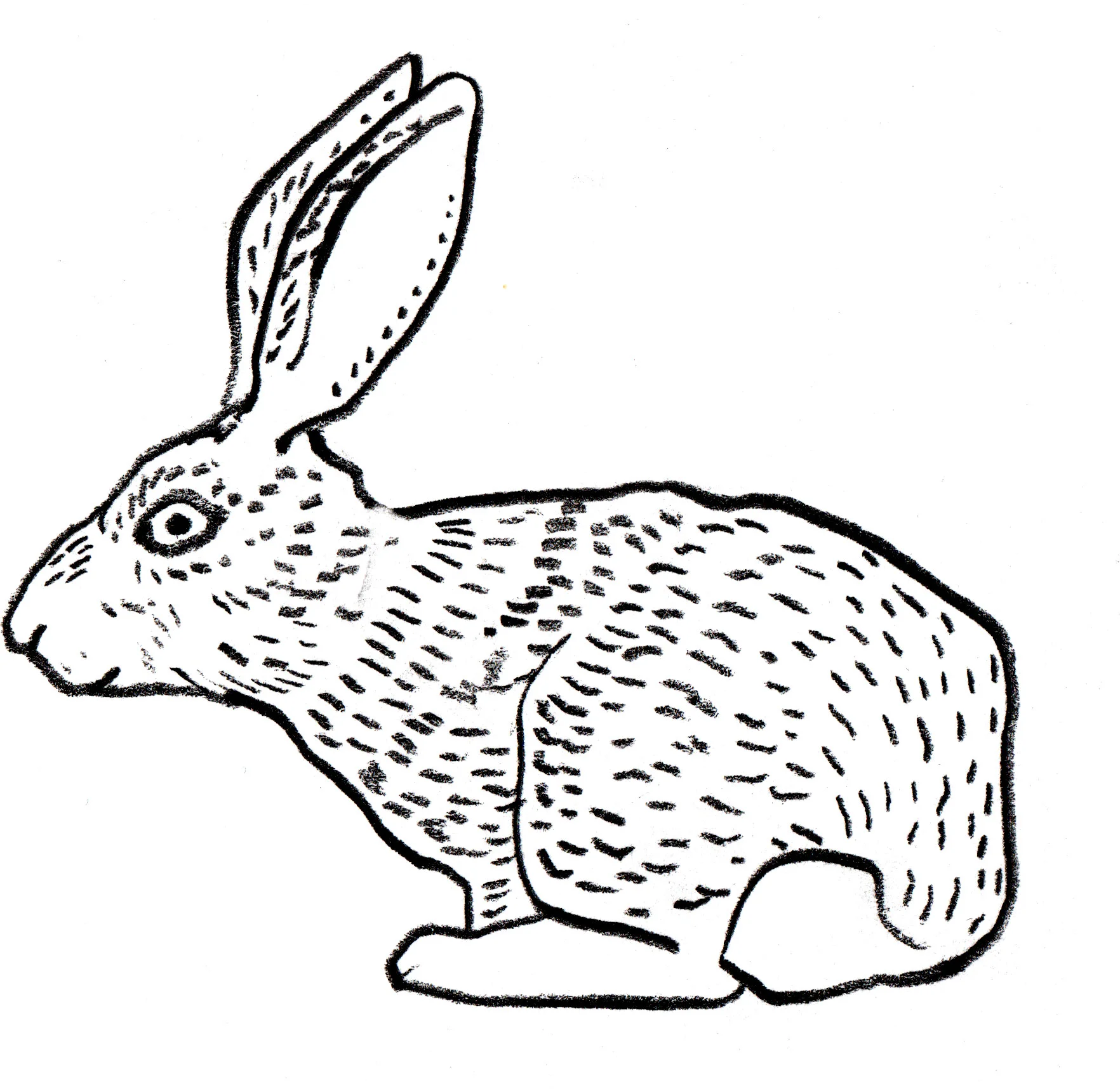 metta_wabbit.jpg