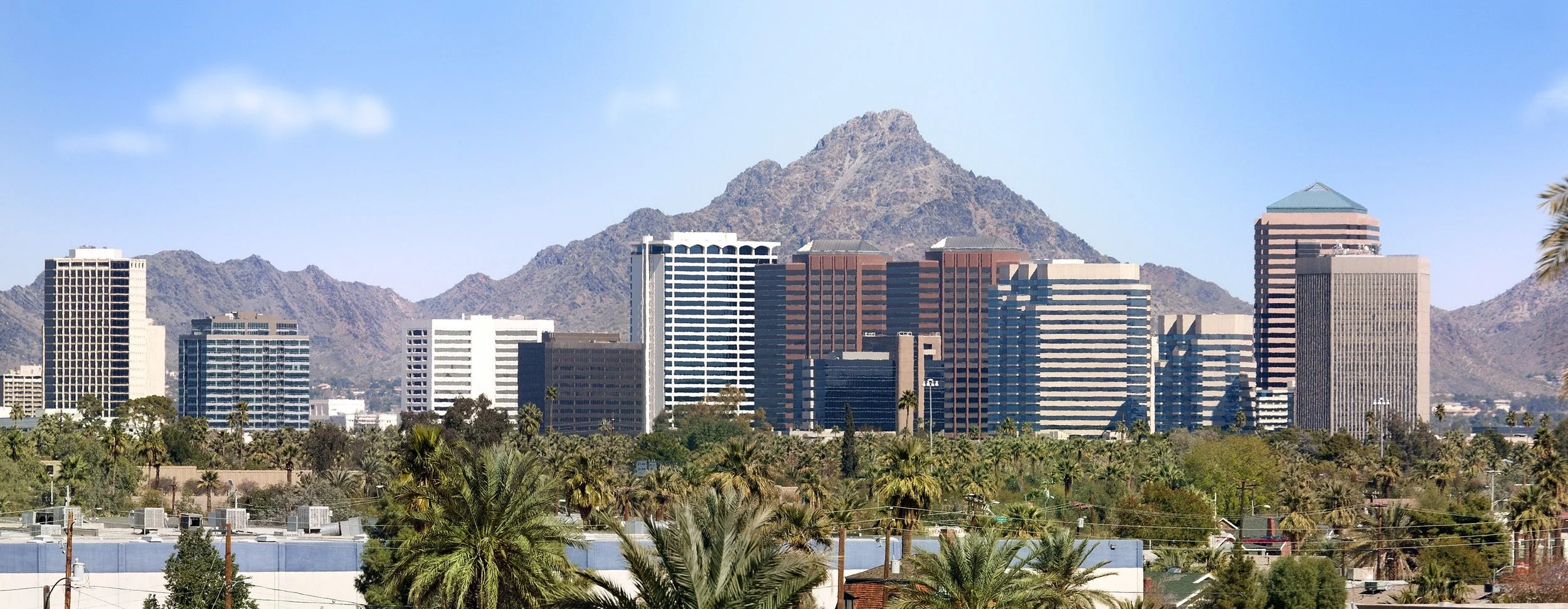 phoenix pic.jpg