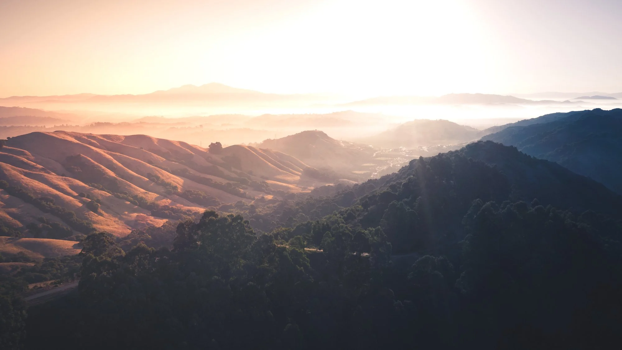 Neuro-wellness strok recovery emeryville.jpeg