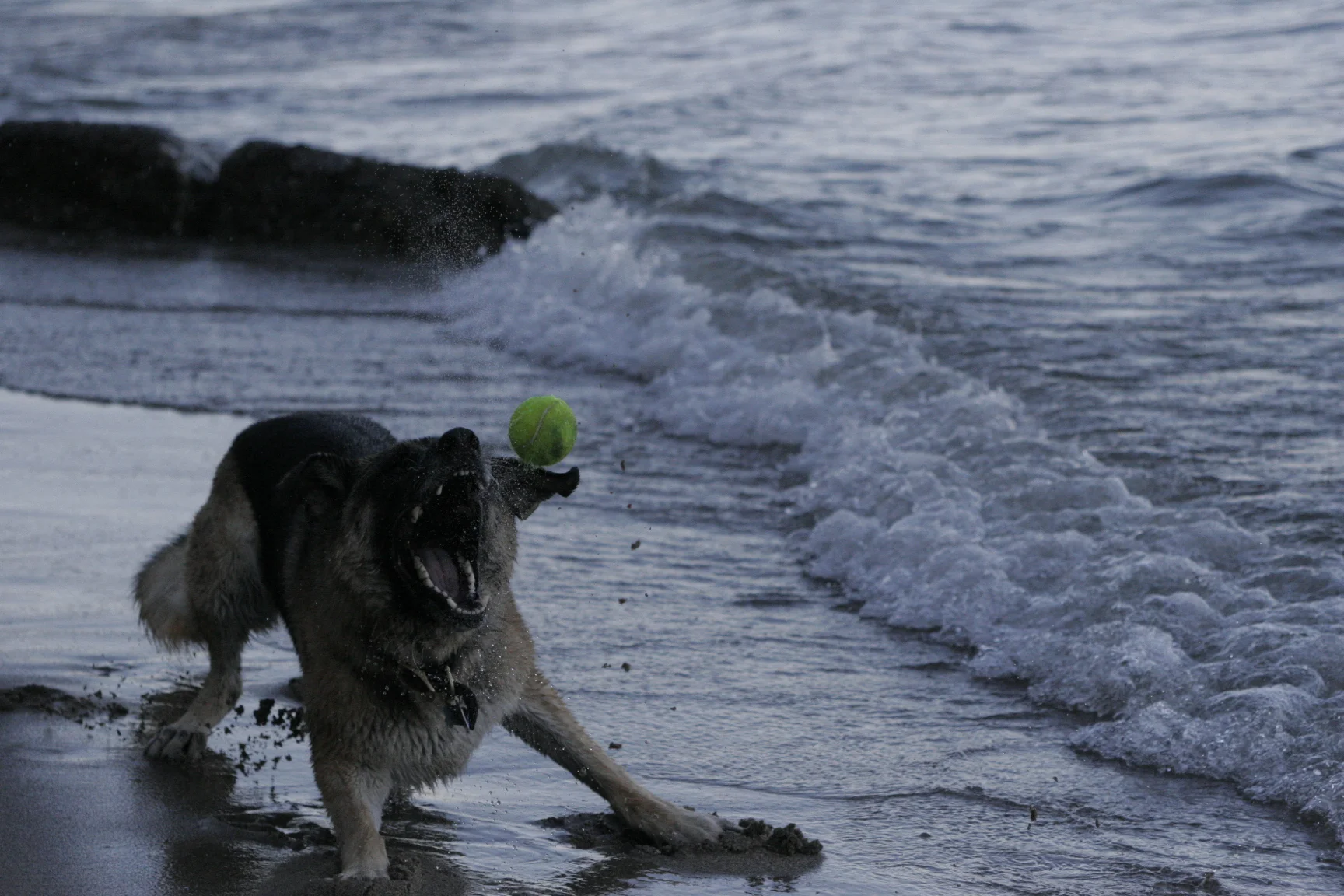 _MG_5086.JPG