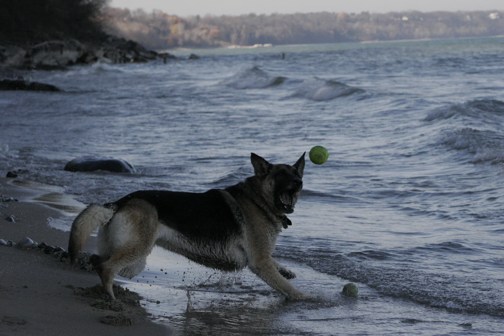 _MG_5031.JPG