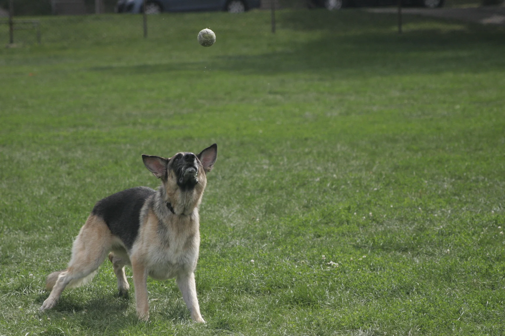 _MG_2417.JPG