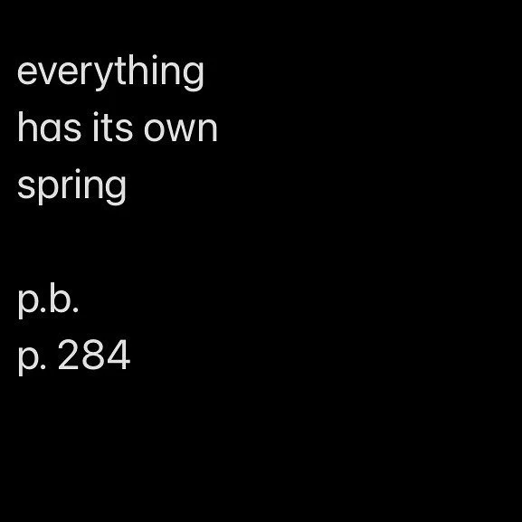 May 17, 2022 
Page 284
🙏🏻❤️
@pegalito + @anjoola8 + @jen.broemel 

#erasurepoetry #blackoutpoetry #blackoutpoem #poetry #poems #poem #scribble #scribbleitout #poetryisart #artispoetry #thefountainhead #fountainheaddaily #scribblebookpenpoemart #dai