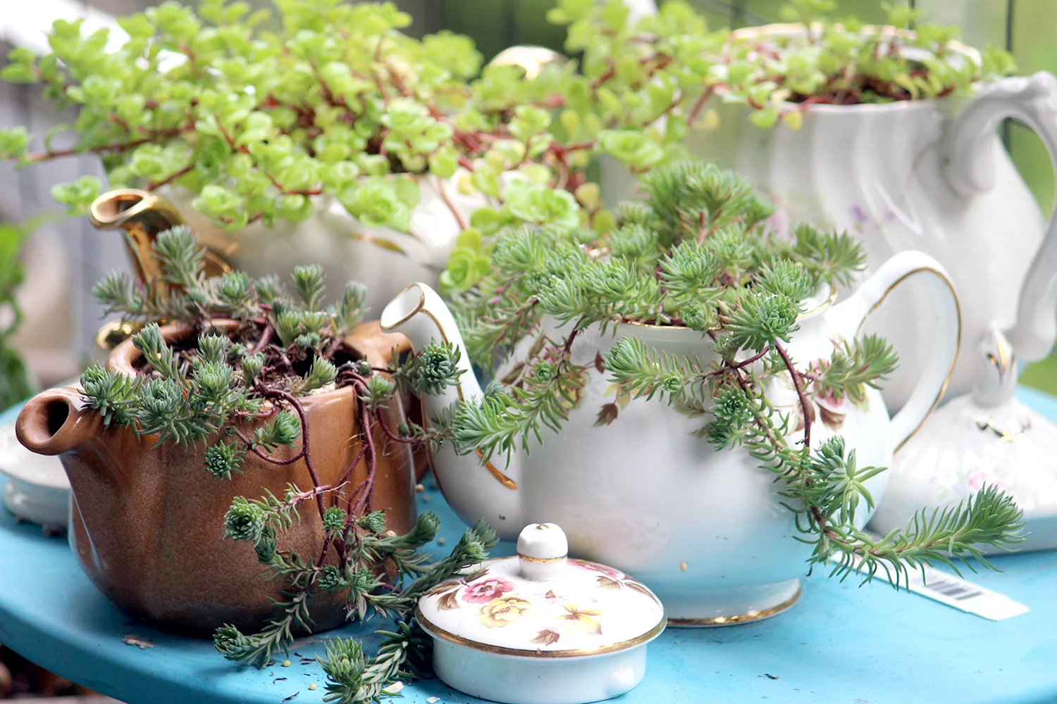 Using all of the Herd; Repurposed Teapots — The English Teacup Shop