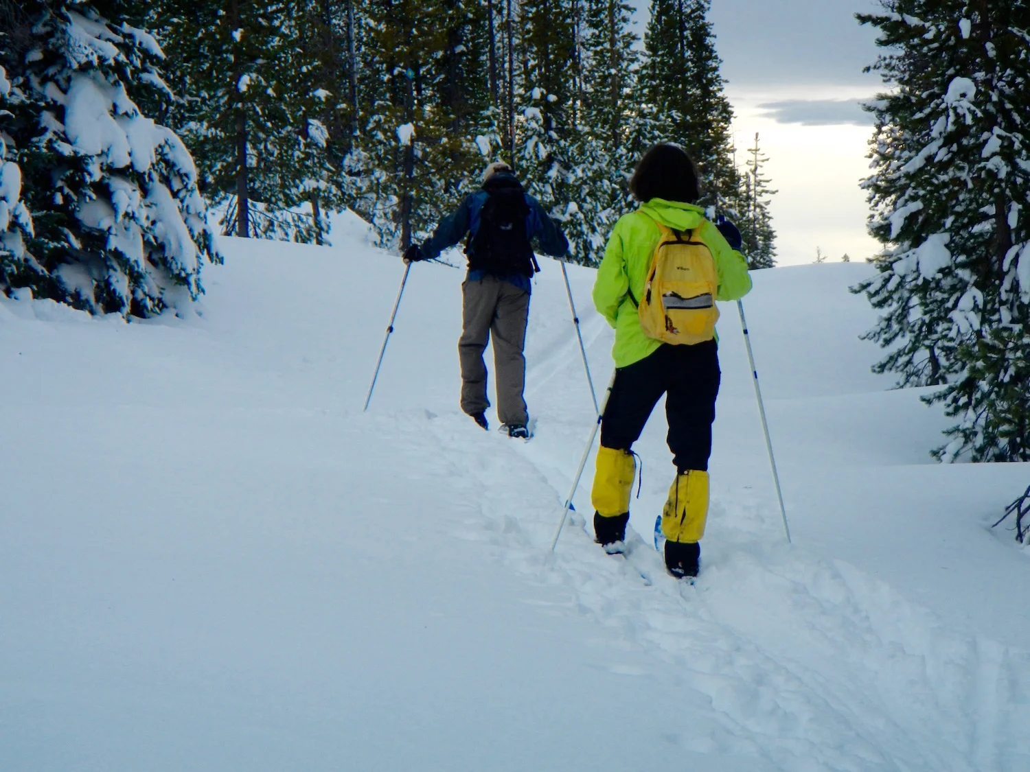 crosscountry-2.jpg