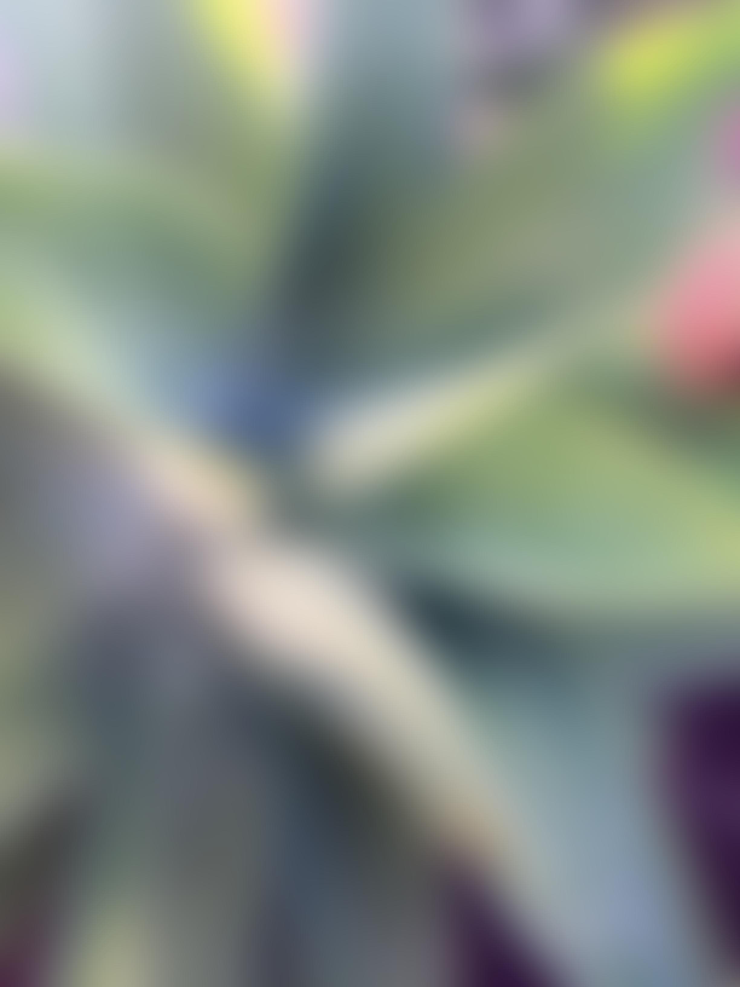 agave blur-min.jpg