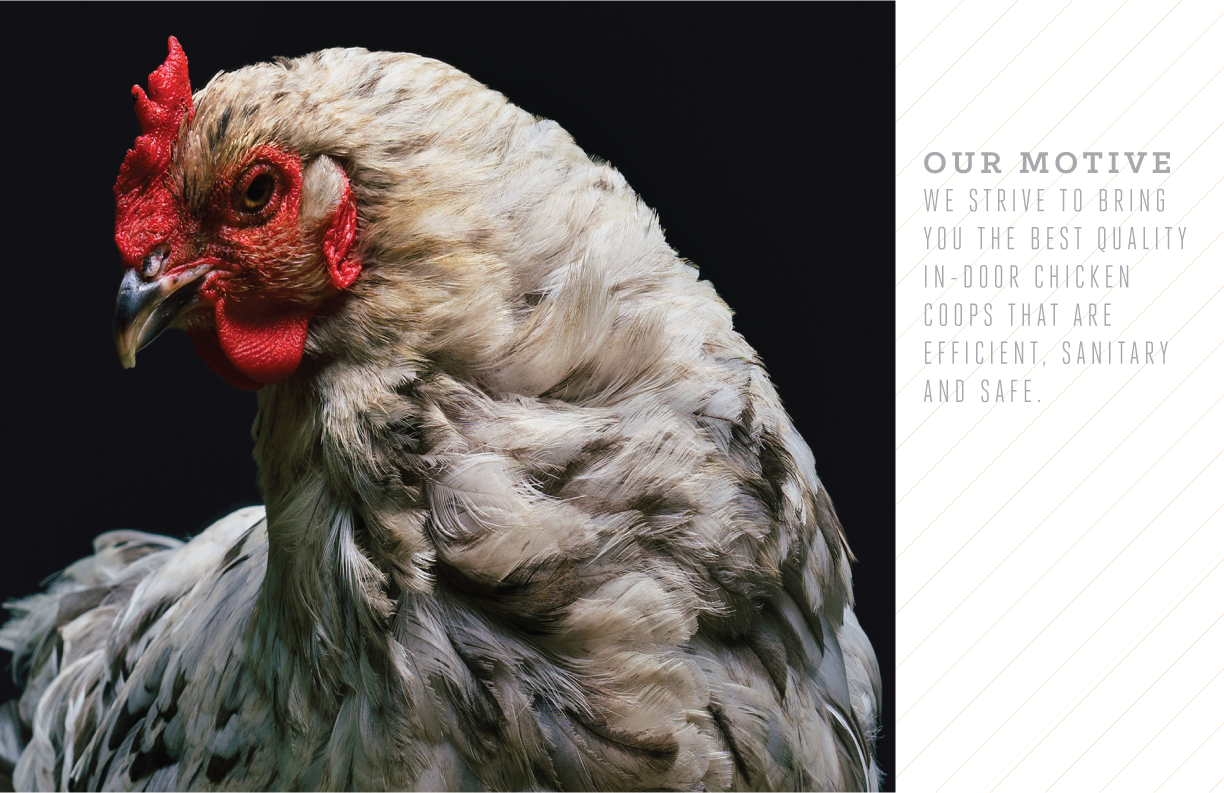branding guidlines-04.png