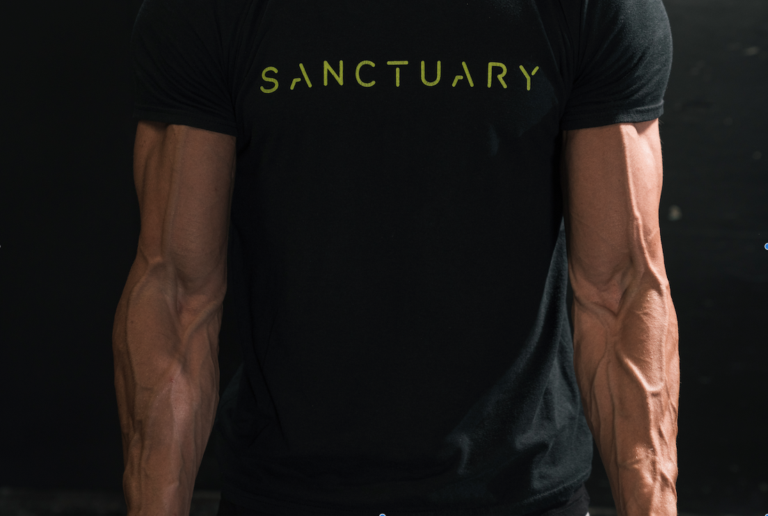 Sanctuary Hybrid Image