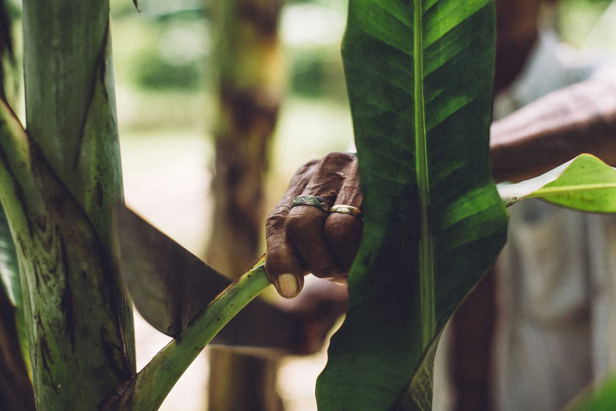 Costa-Rica-2017-18.jpg