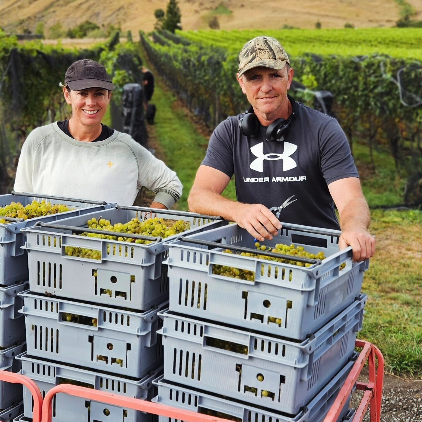 Emma &amp; Rod Easthope

We were excited and proud to get the rest of our 'Home Block' Chardonnay hand picked and into barrel yesterday. 

Hand picked by family (&amp; Eddie), transported to the winery (300m from the vines), pressed and straight into
