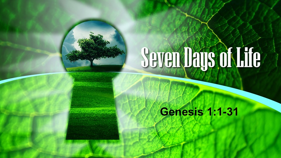 The Creation Poem in Genesis chapter 1 shows the fractal nature of life.