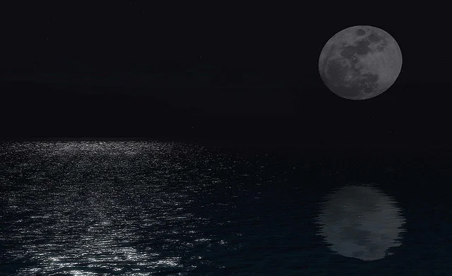 Reflections from the shallow end of the pool of knowledge.