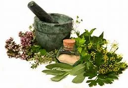 Chinese herbs prevent diabetes: As effective as drugs.