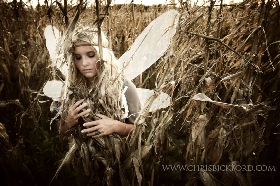 Coming Home to the Tuatha De Danann