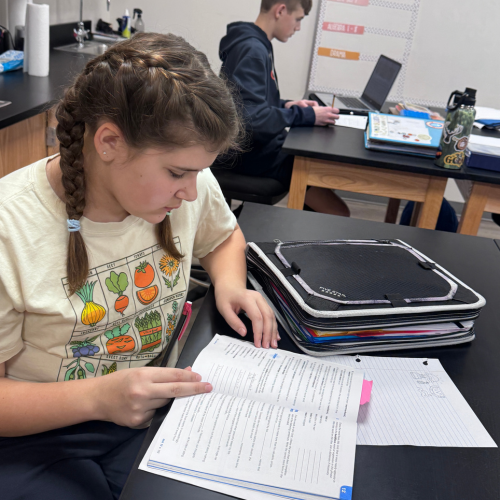 Middle school girl reviews vocab at her desk