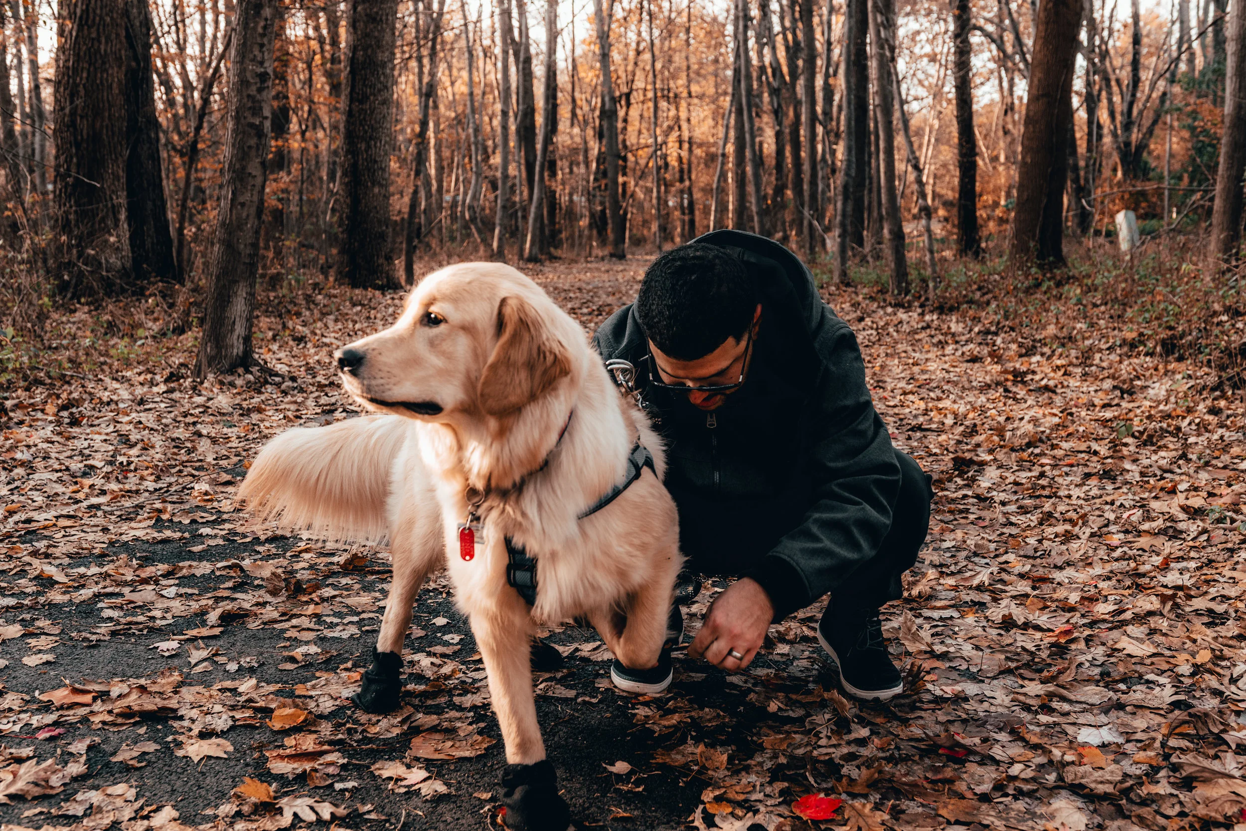 MAX_NOV2018-10.jpg