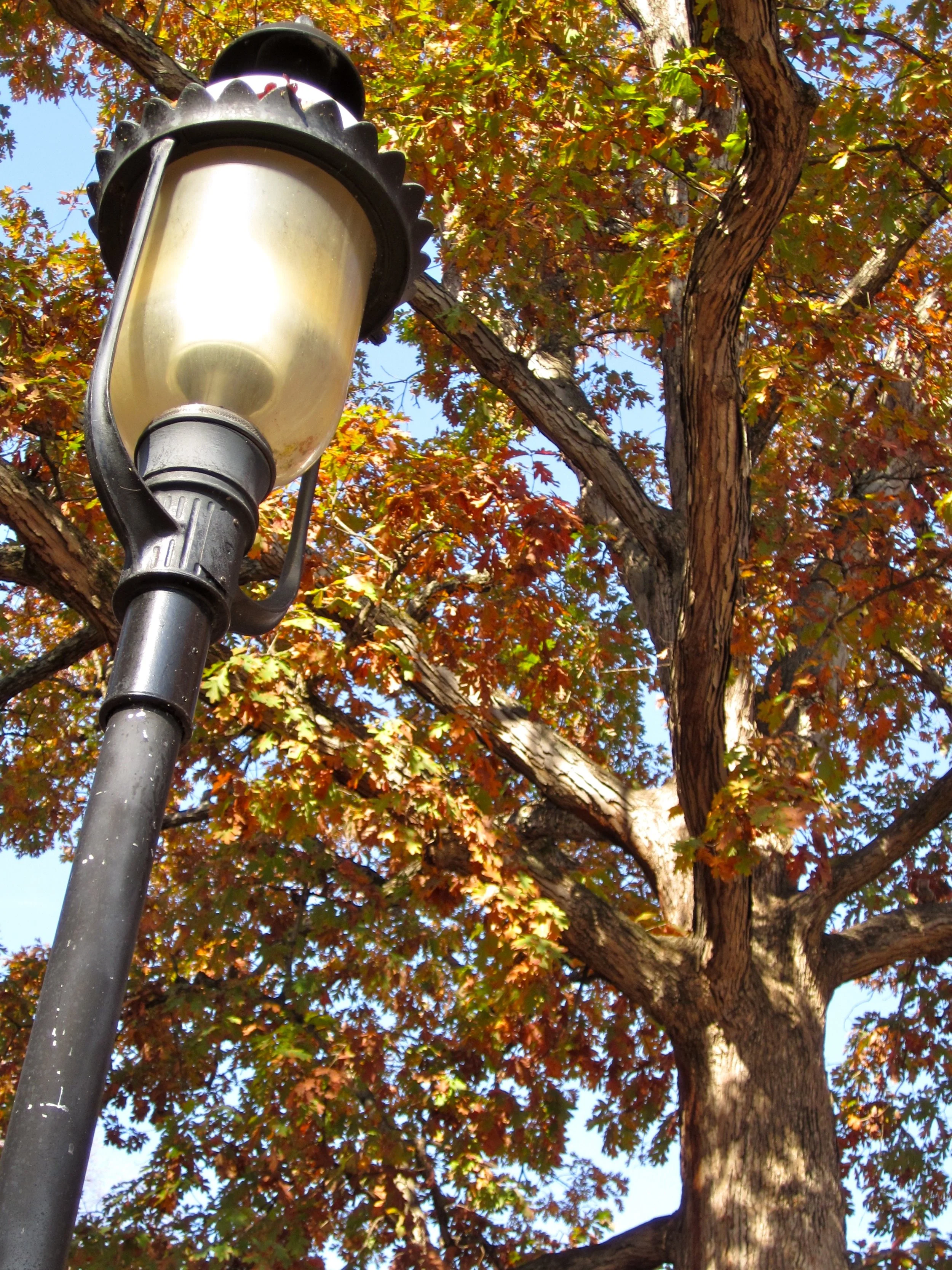 Elon University Light Post