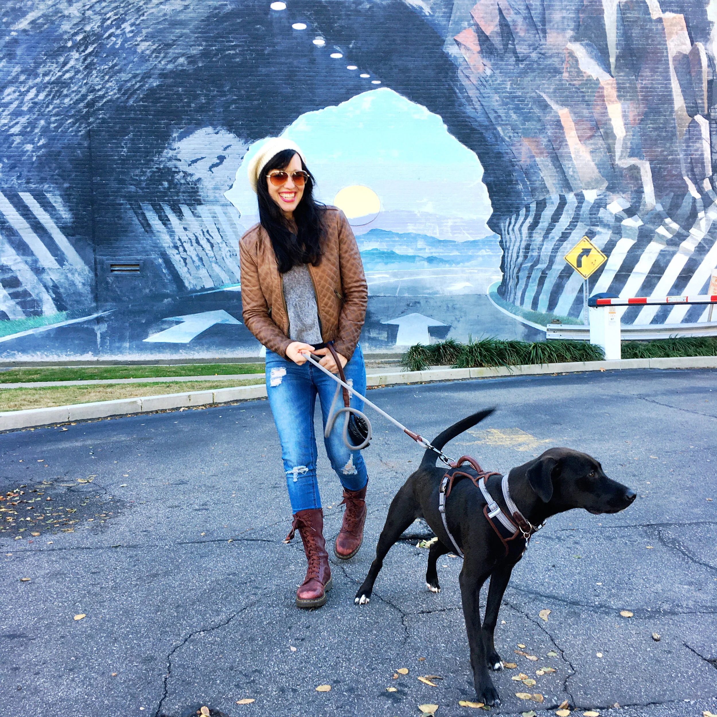 ALL TAIL WAGS AND LICKS