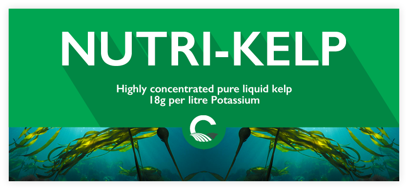 Nutri-Kelp.png