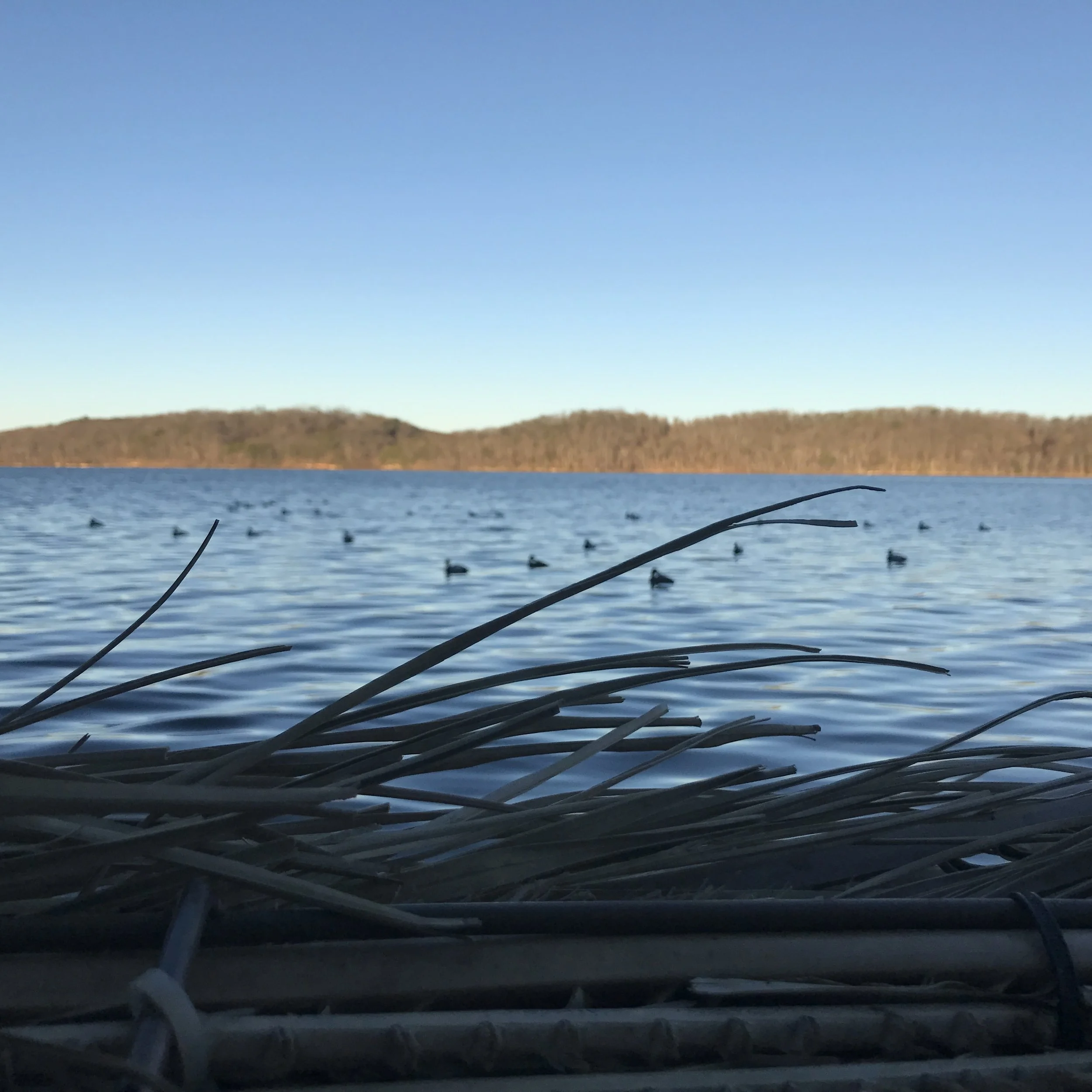 Dispatch 08: Coordinates ~ Mentone, Alabama