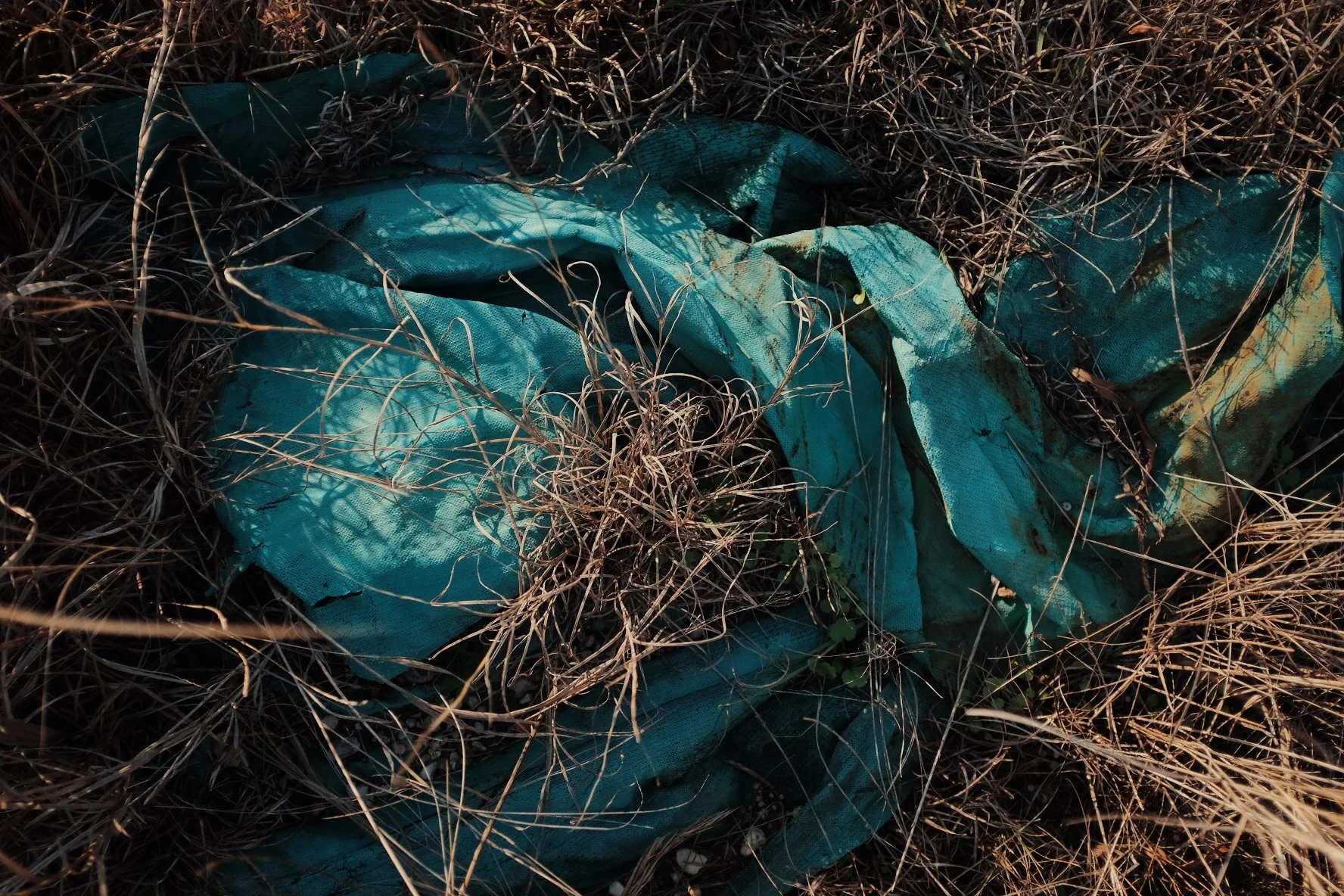 Dispatch 13: Post / Stress