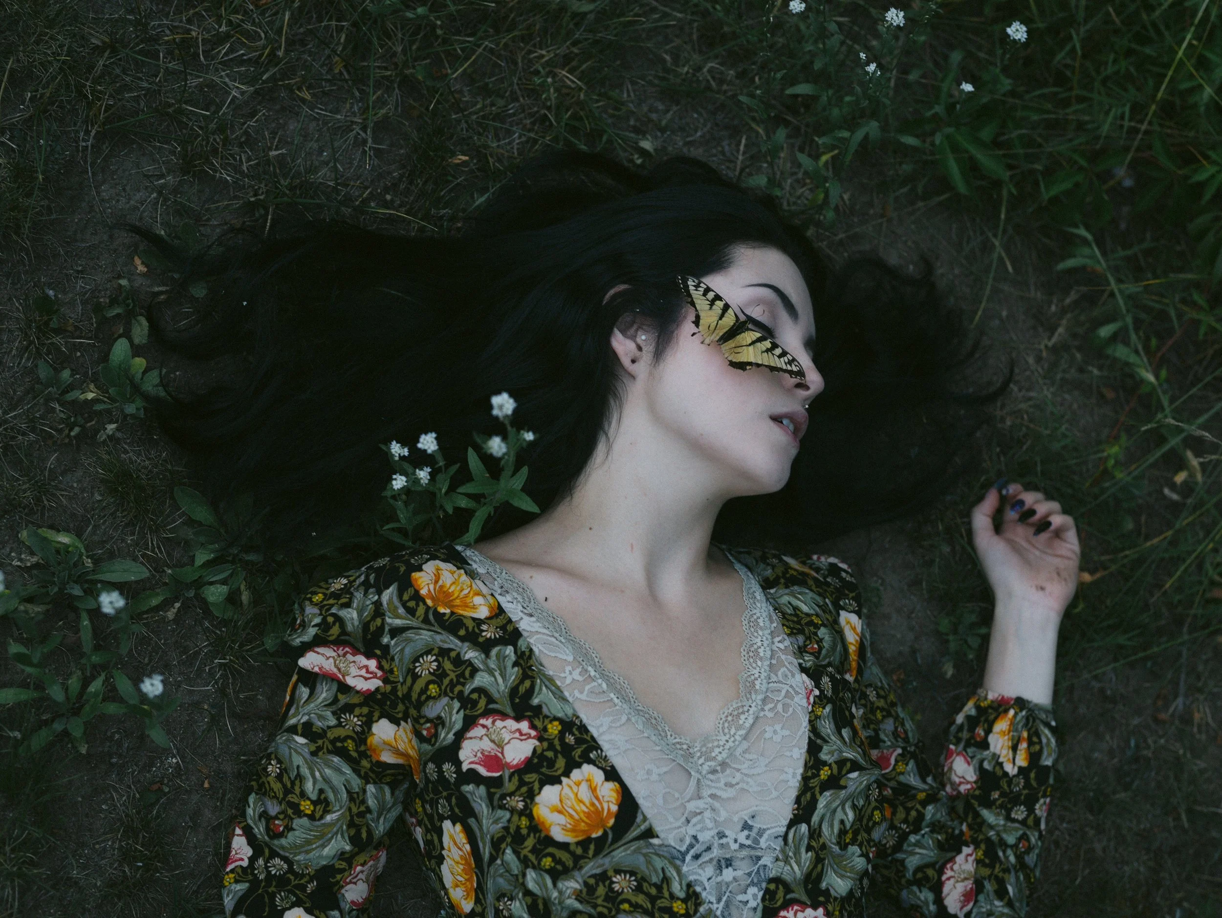 Dispatch 17: Without Losing the Butterfly
