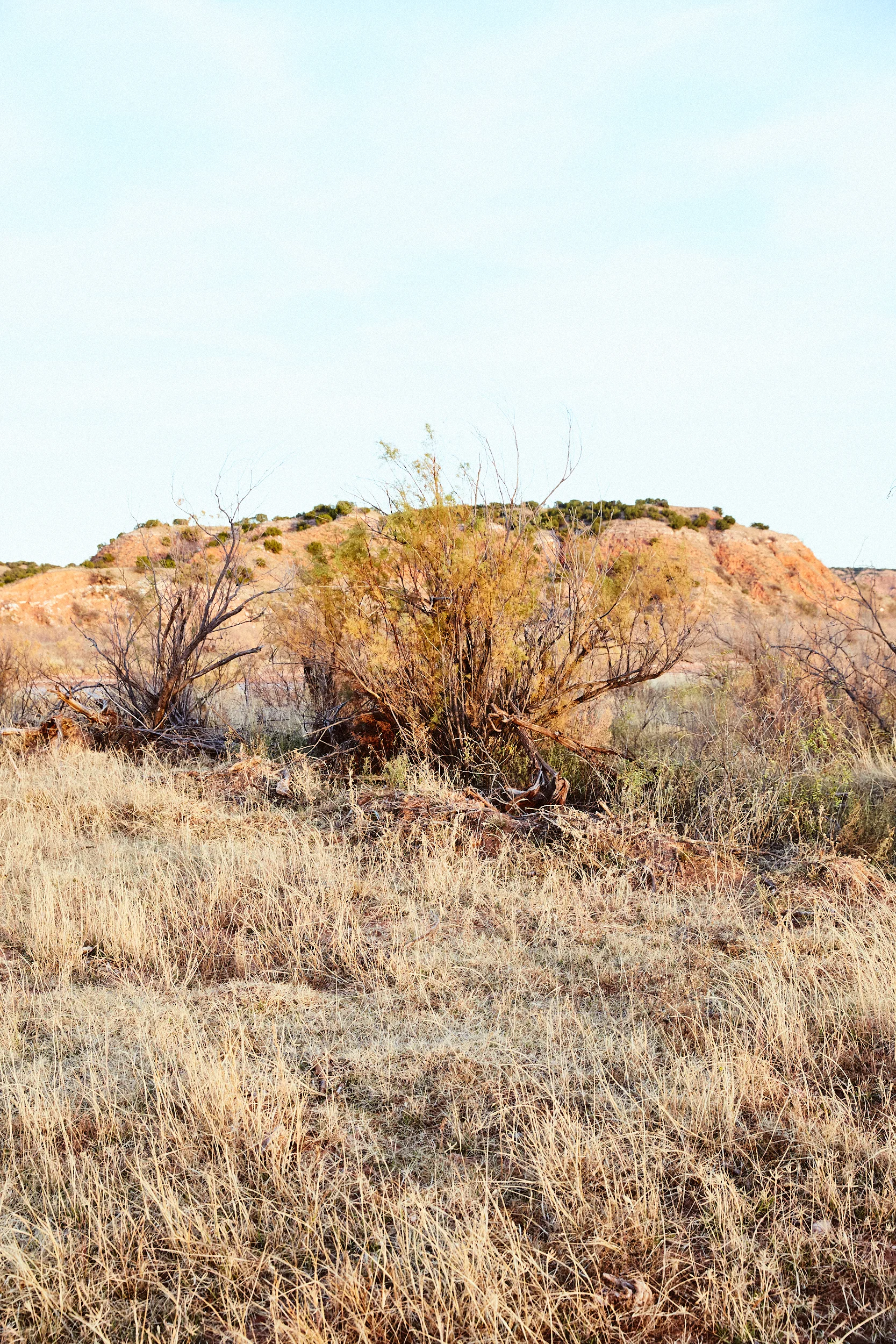 WonderSouth_TexasRoadtrip_CB_5406.jpg