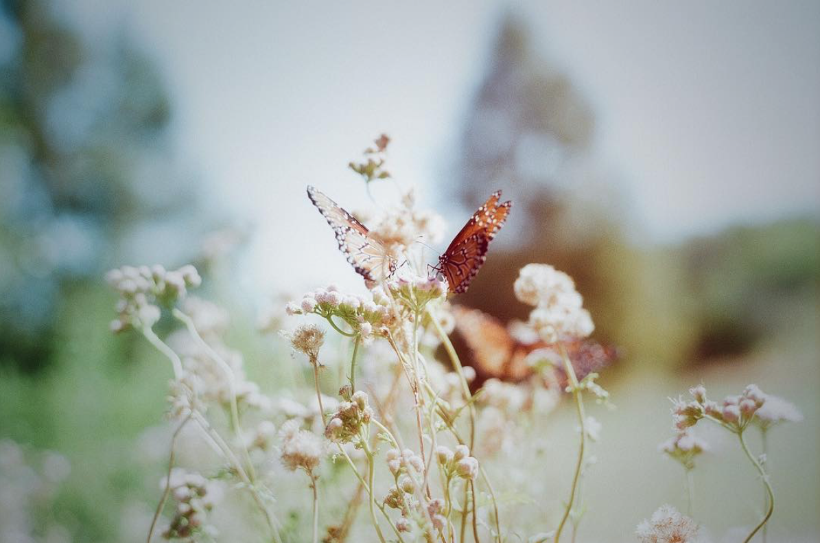 Summertime. 35mm.
