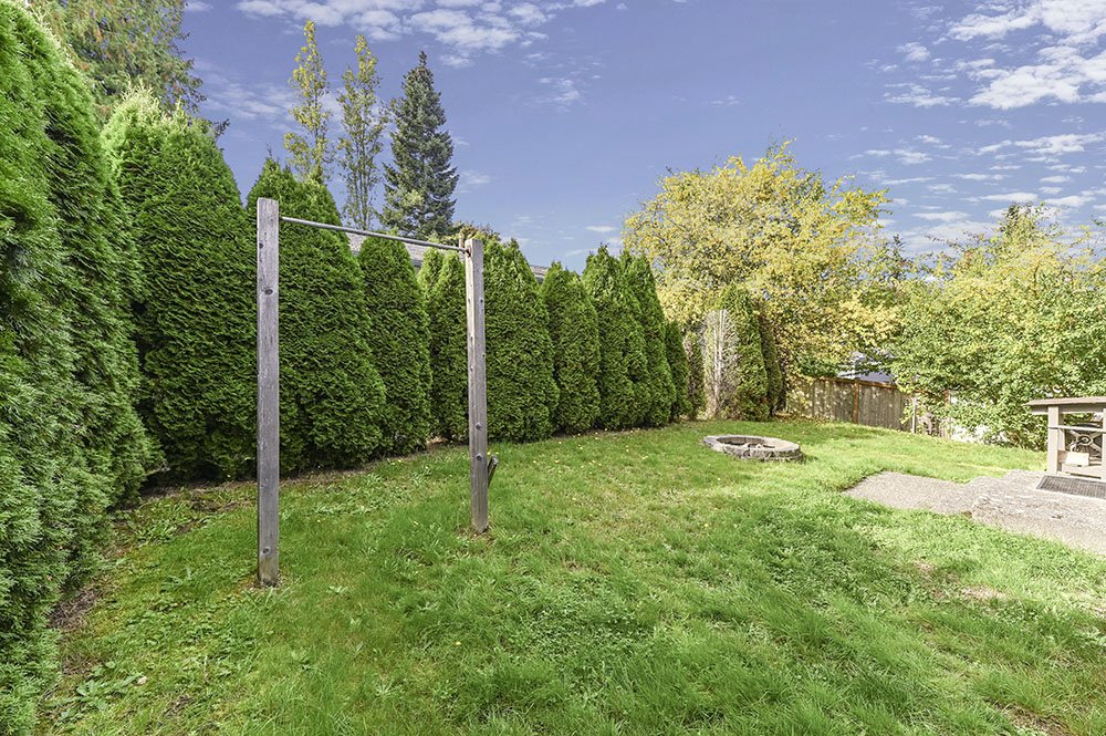 5-Backyard Small.jpg