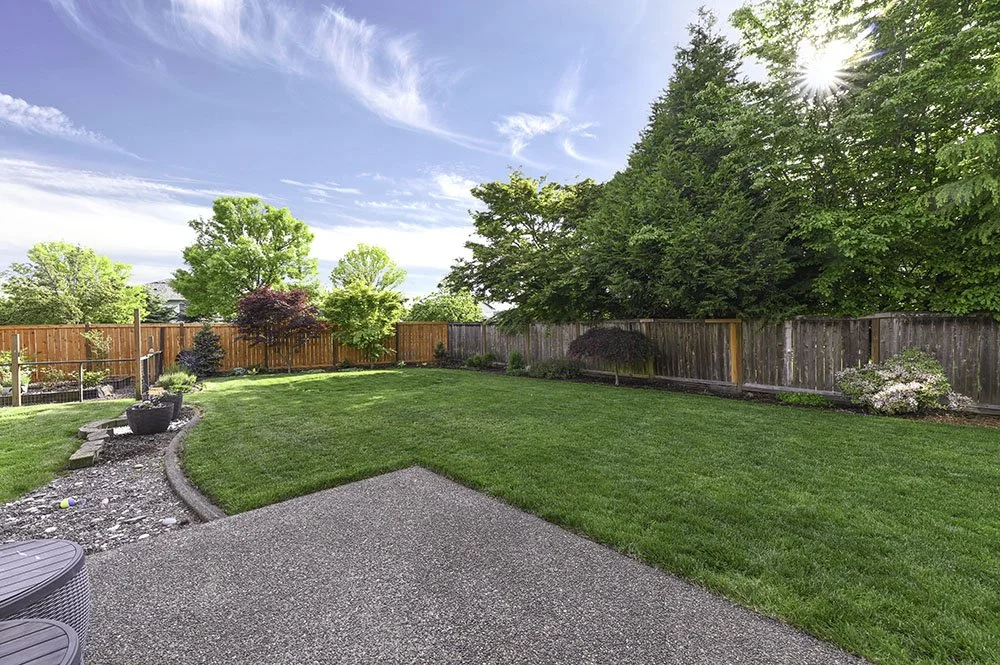 5-Backyard Small.jpg