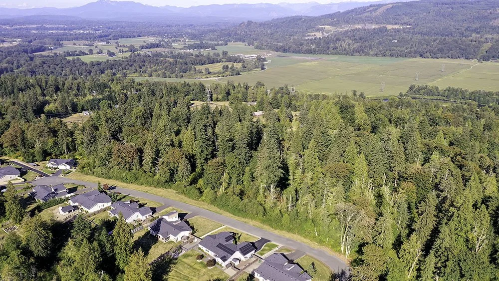 4-Drone Looking East Small.jpg