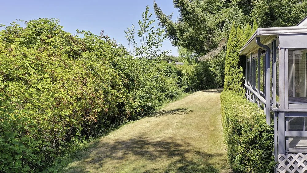 5-Backyard Small.jpg