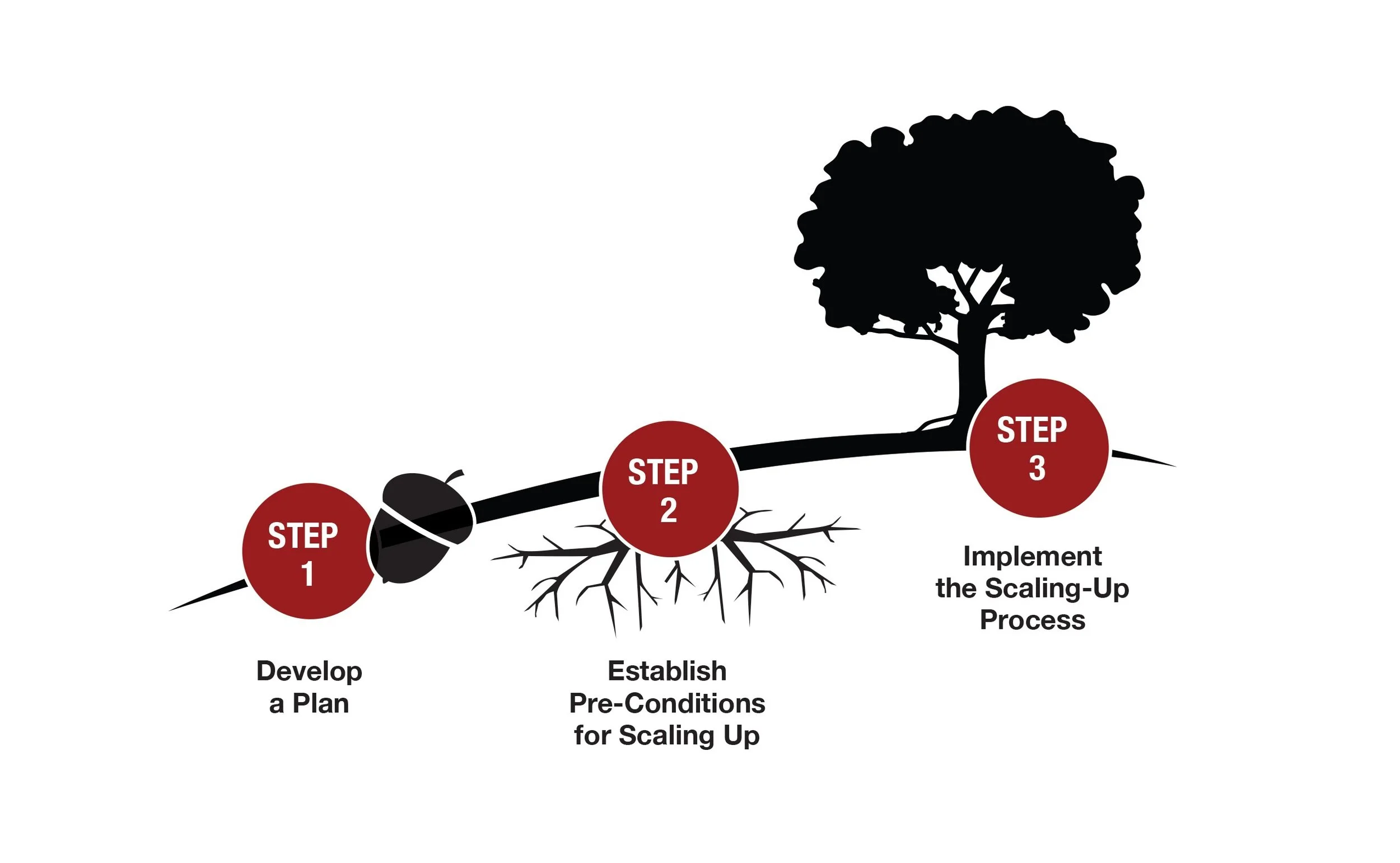 preconditions for scaling up.jpg