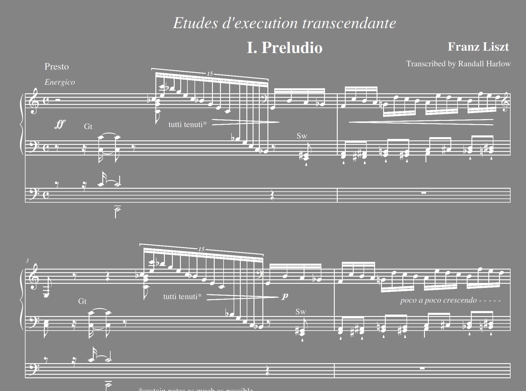 Liszt Transcendental Etudes for organ