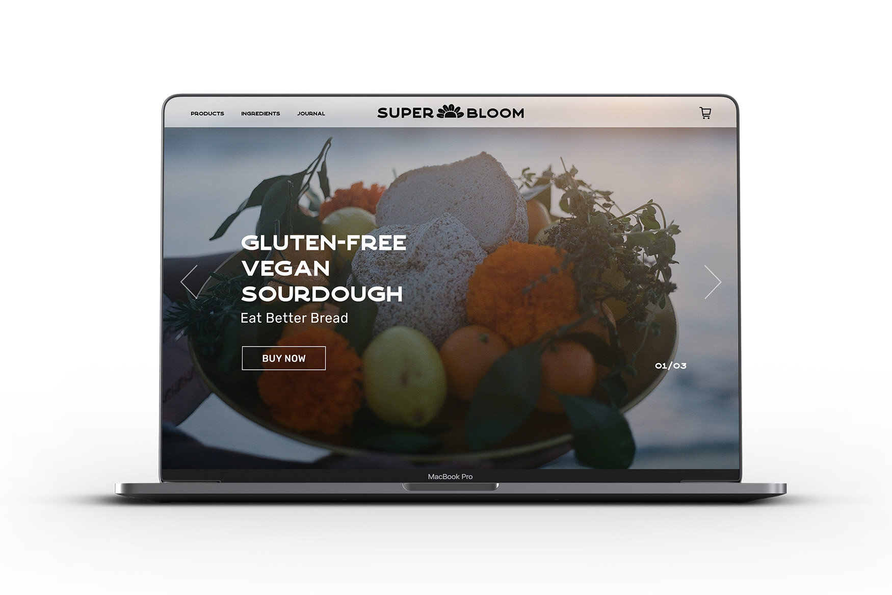 SB-web-2.jpg