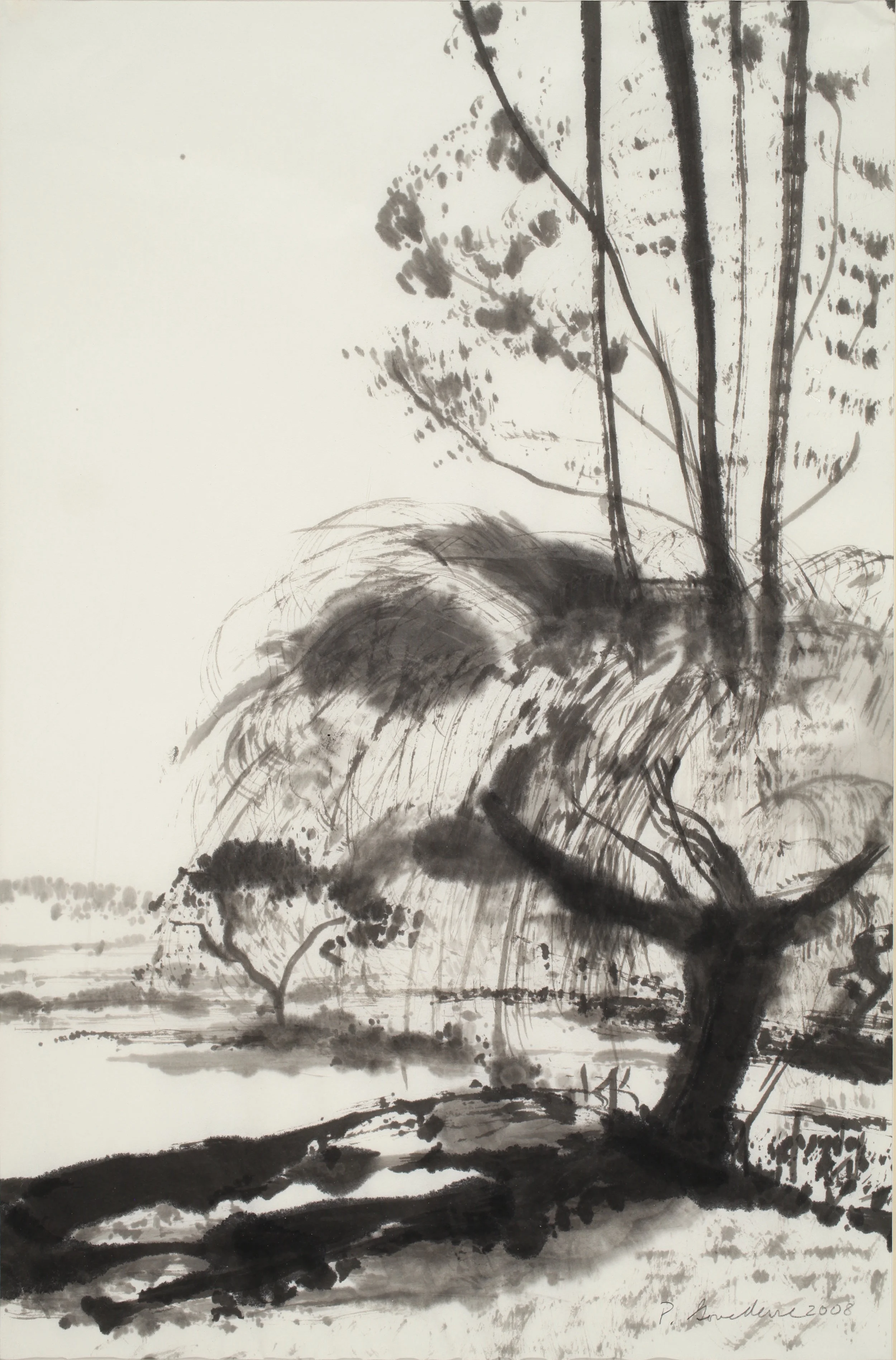 Wetlands.jpg