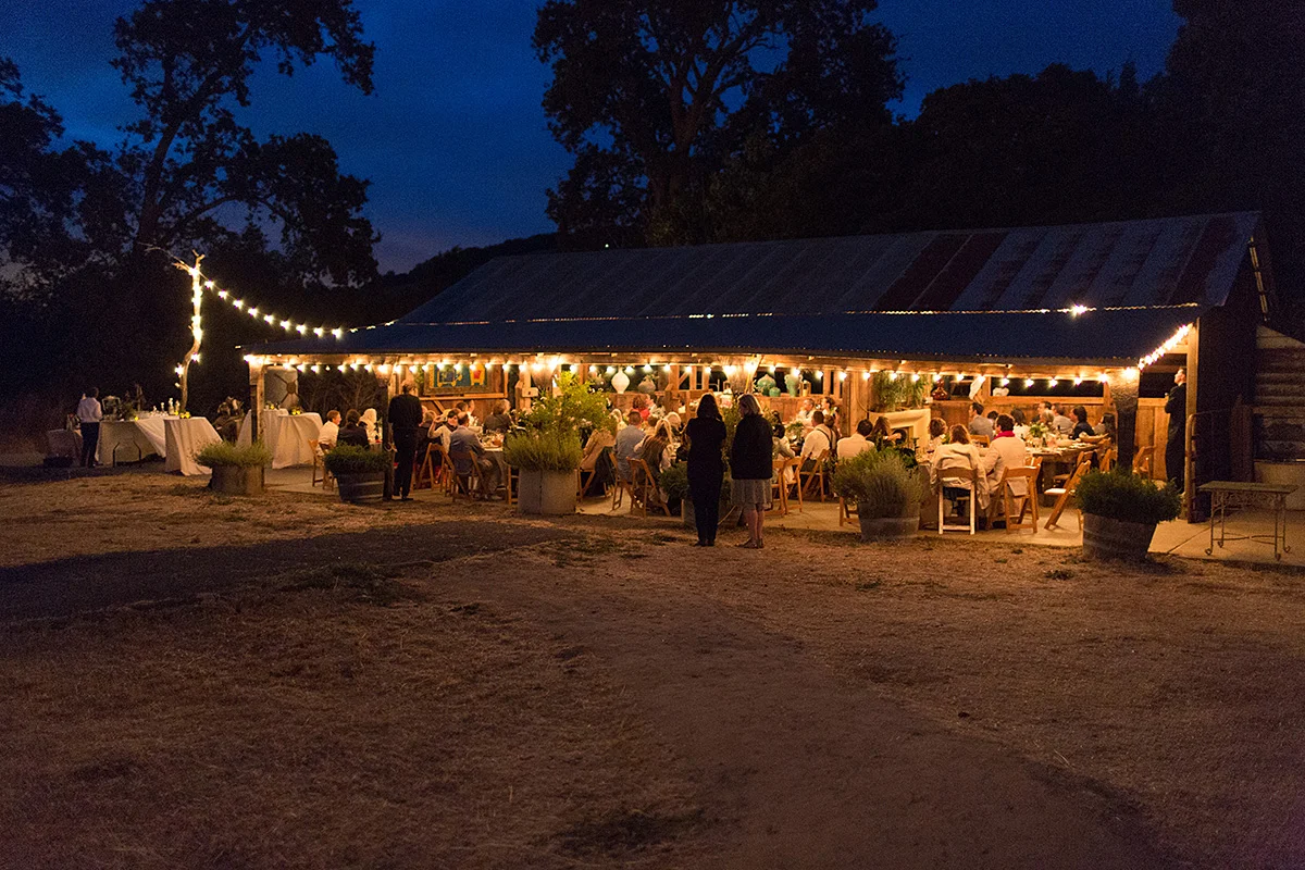 partyb5.jpg