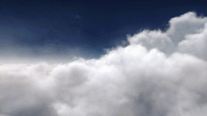 2012_reel_d.gif