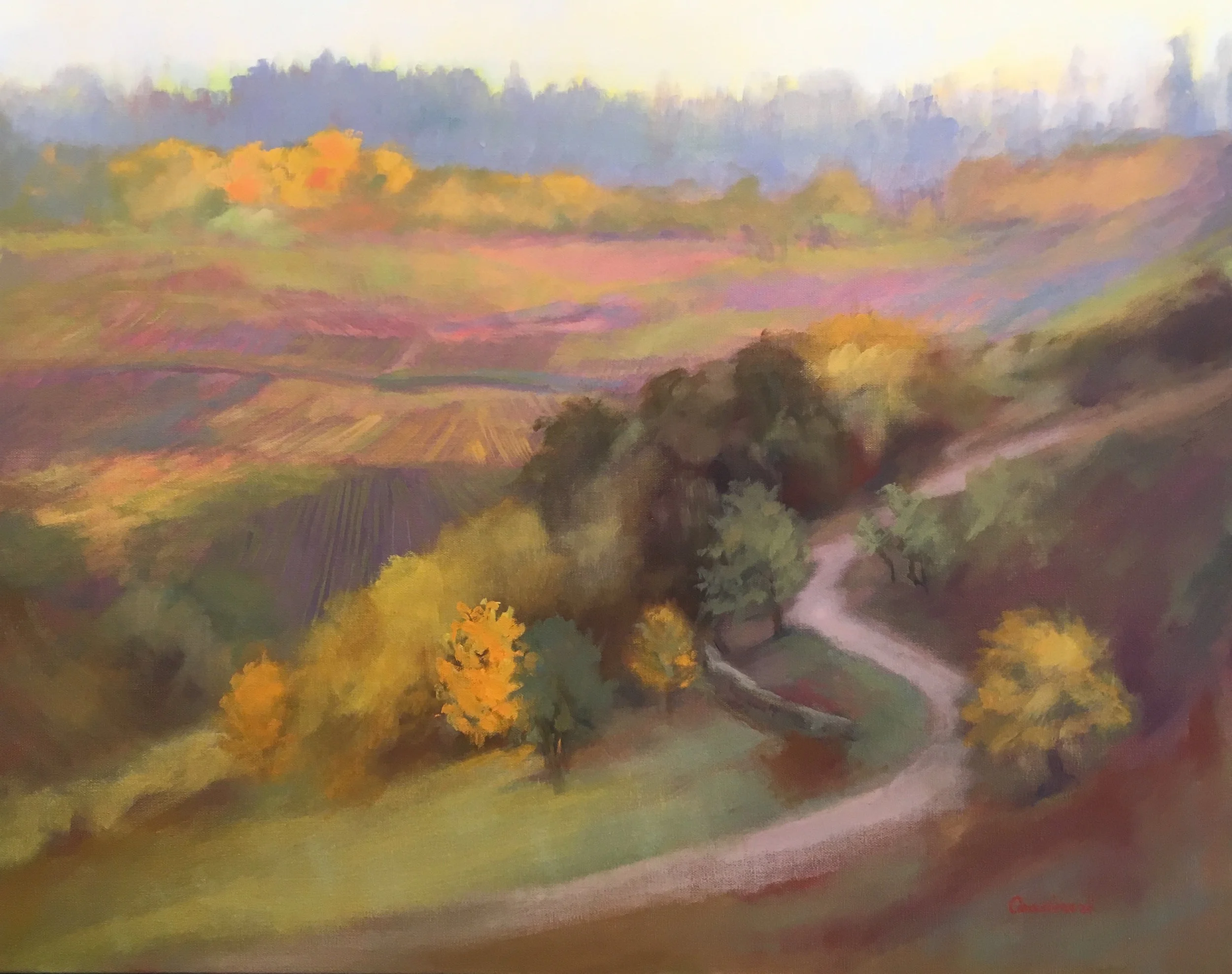 Autumn Vineyard