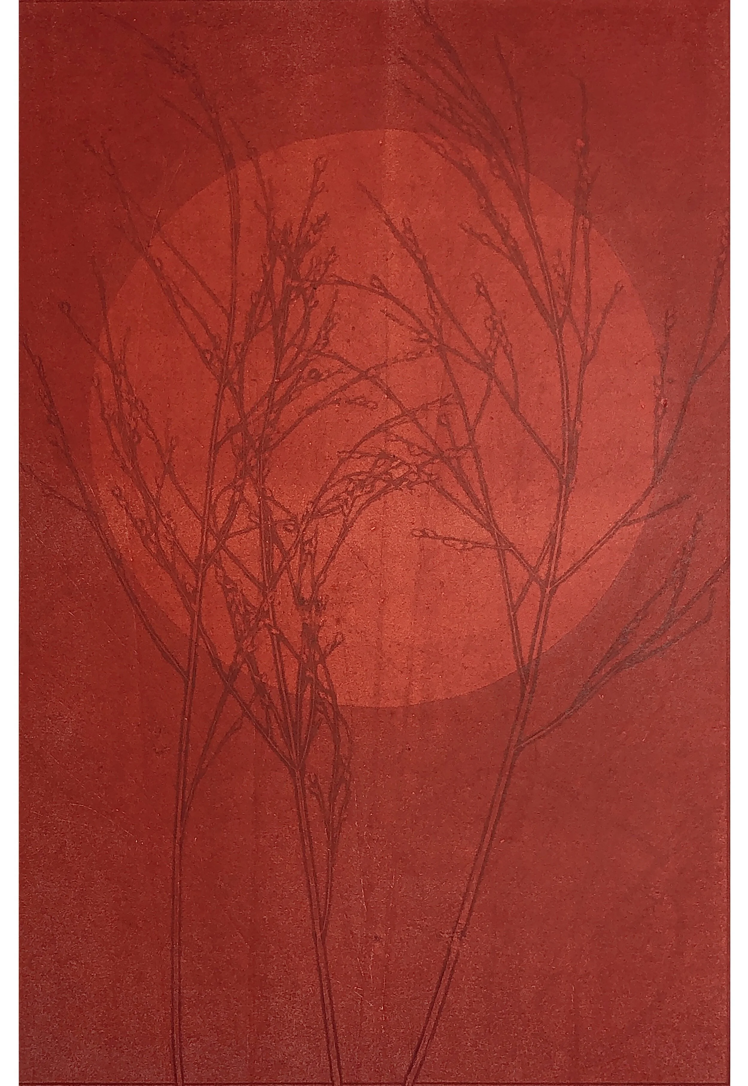 Monotype #25 - 2020