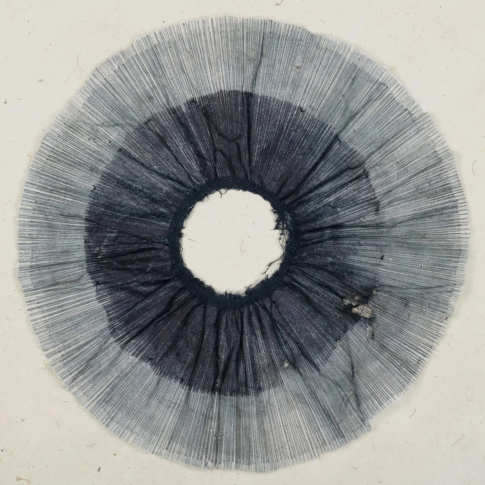 Burmese Days #57 - 2022