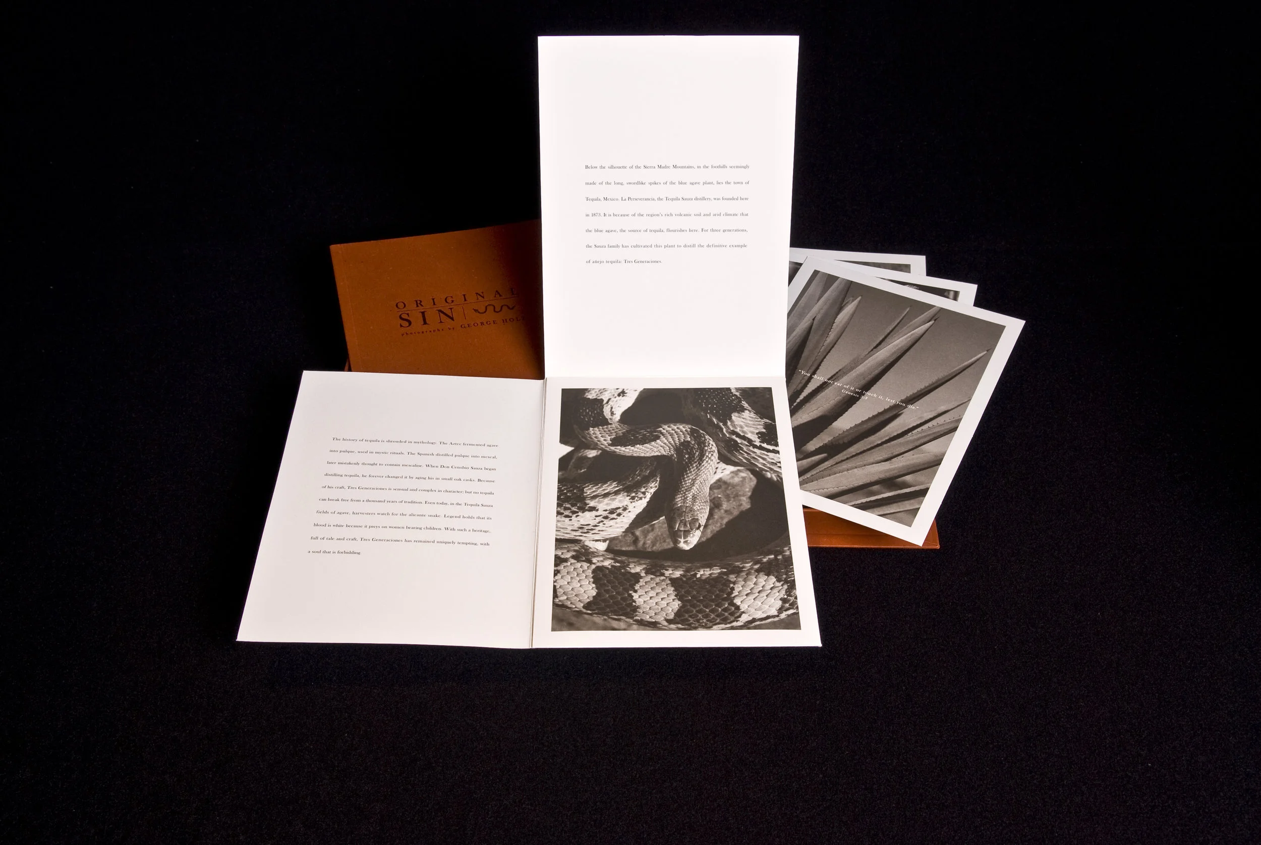 Original SIN_019.jpg