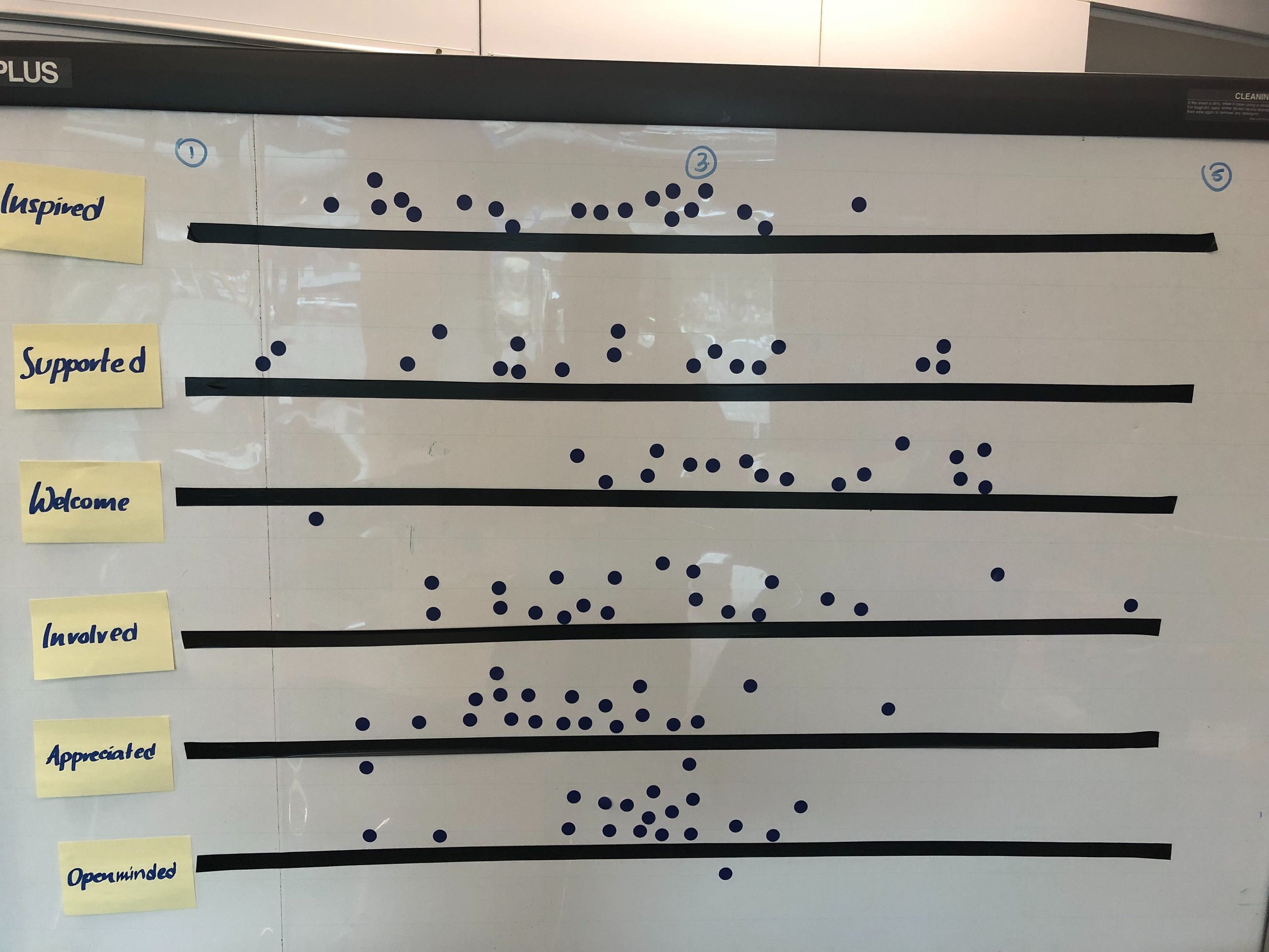 AirNZ Tracking Canvas Image.jpg
