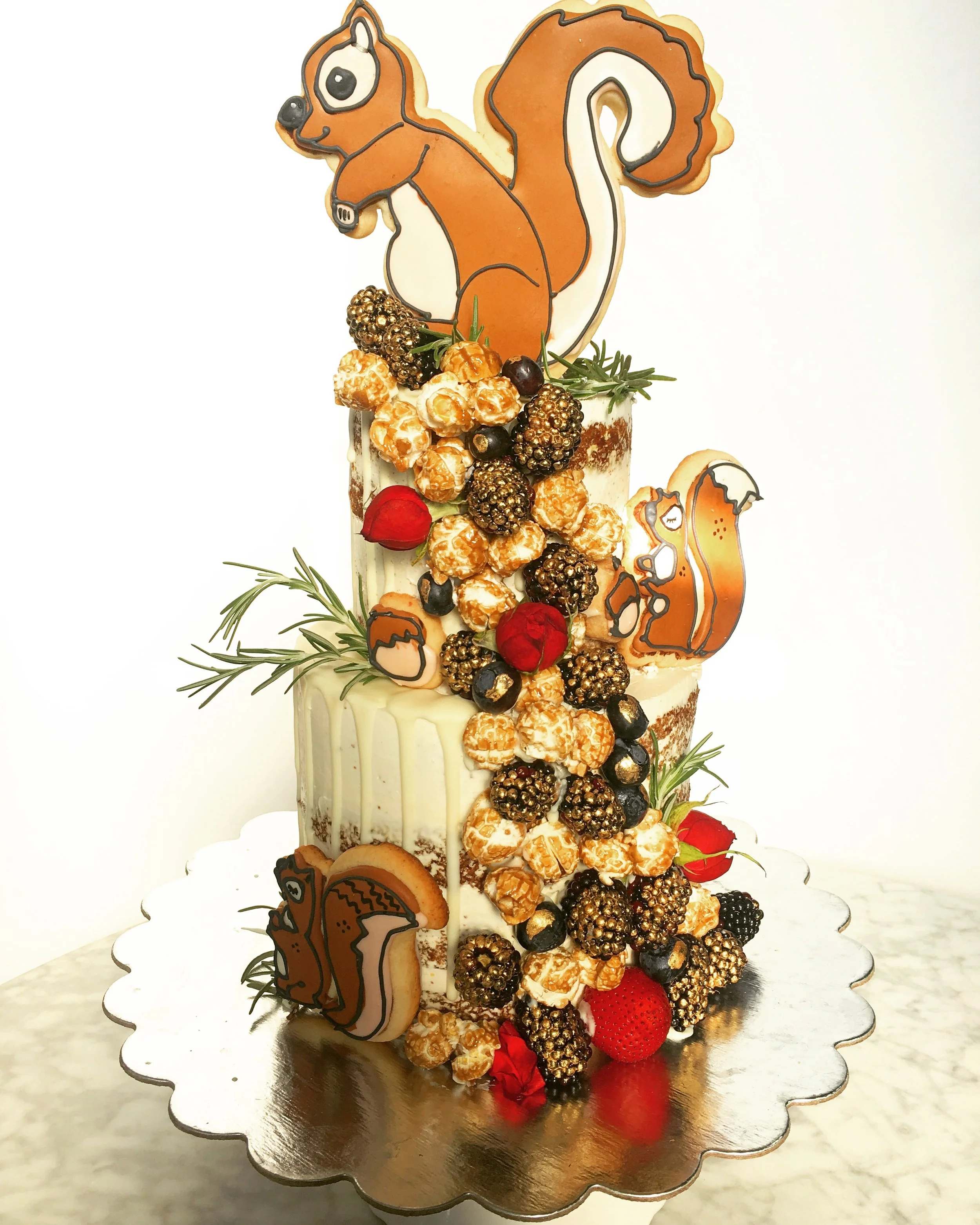 Dog Friendly Squirrel Cake