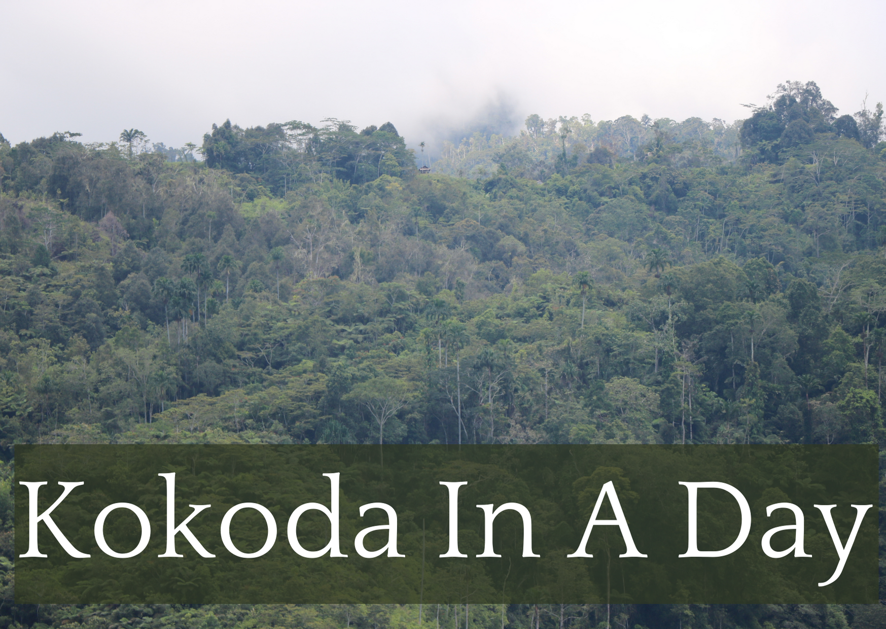 Kokoda in a Day - 2021