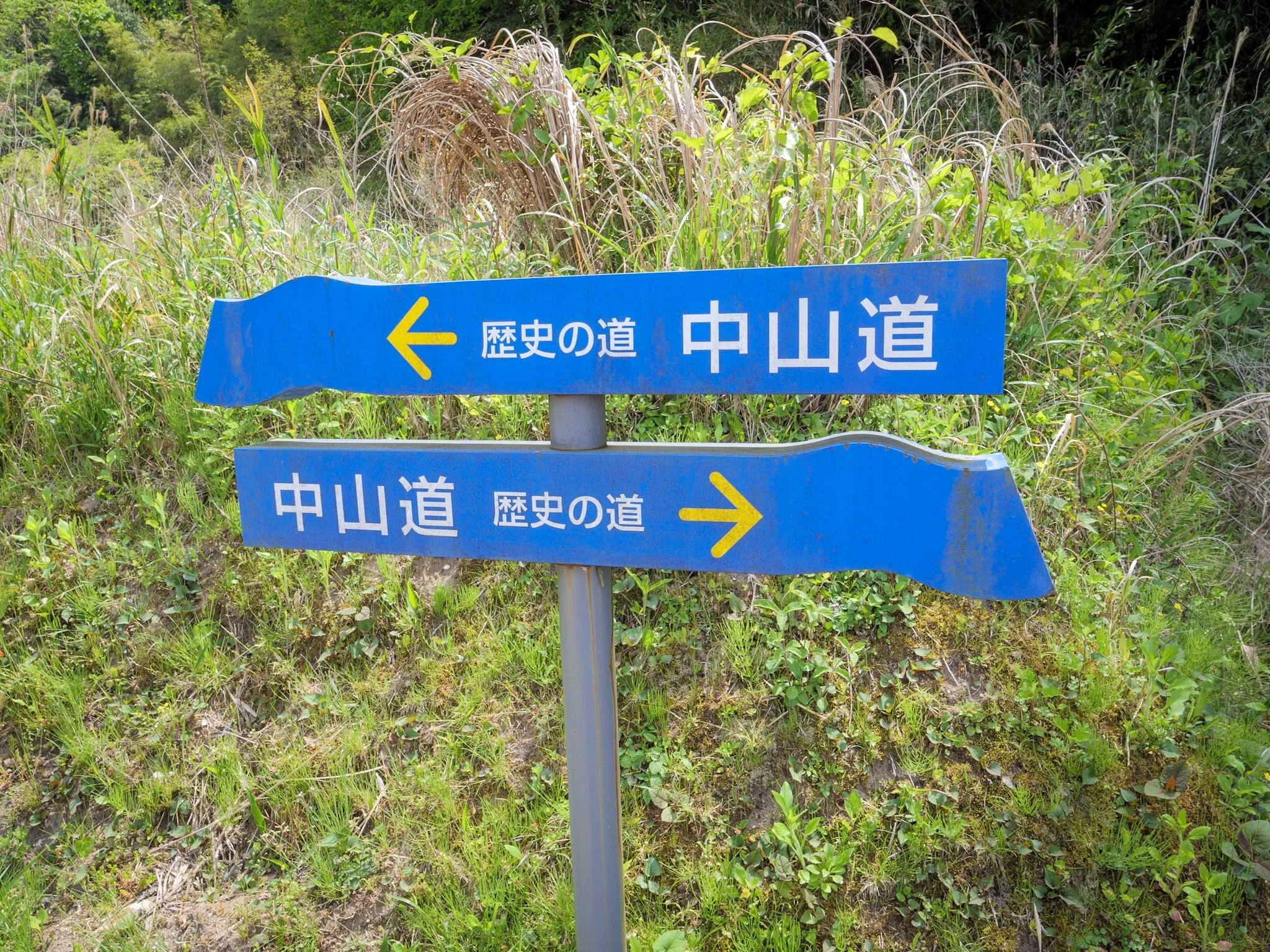 IMG_0043.jpg