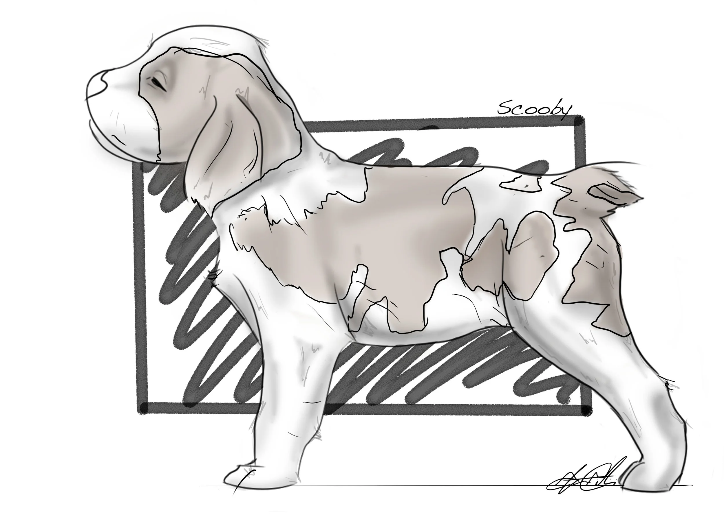 scooby.jpg