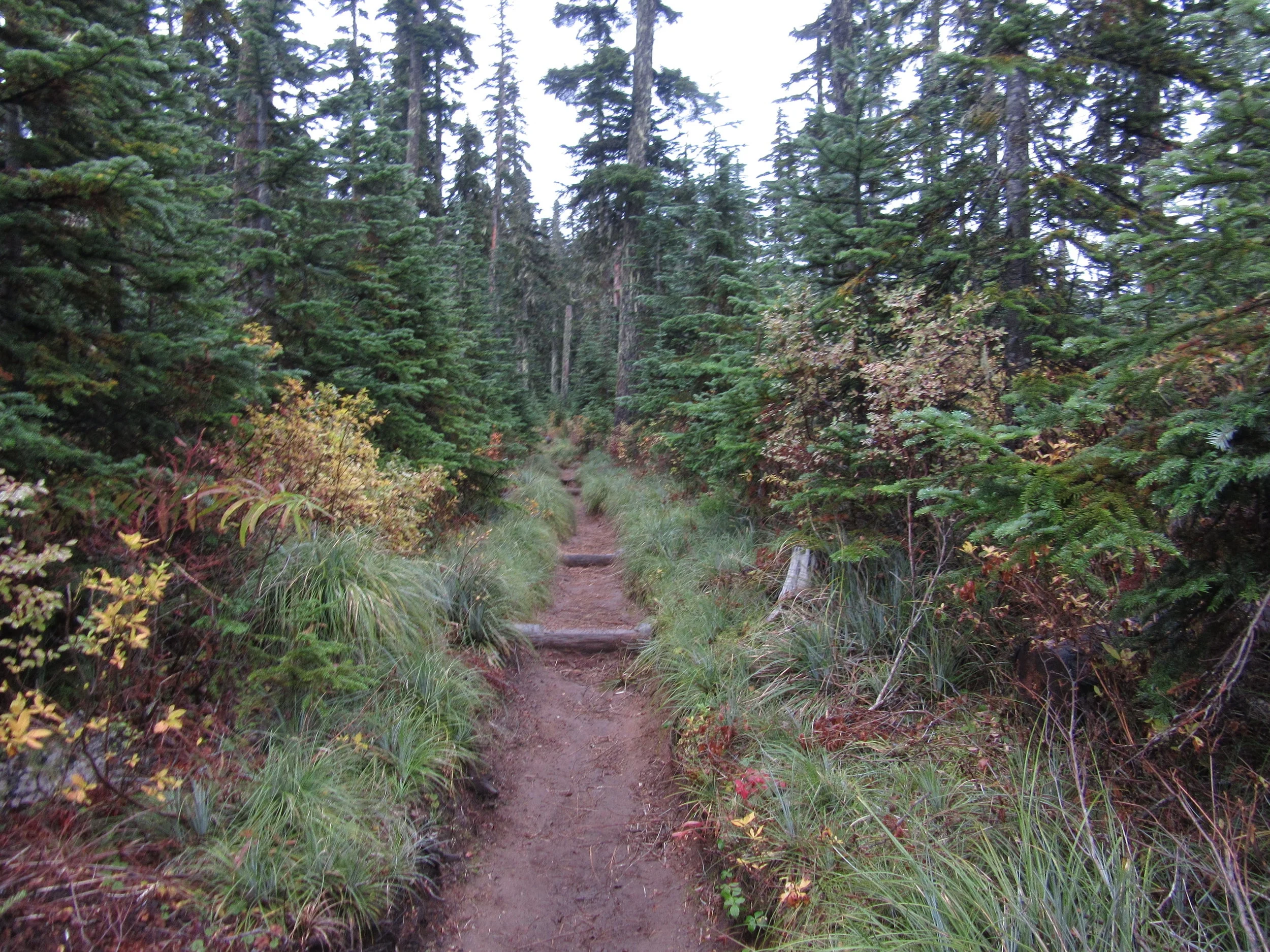 Pacific NW